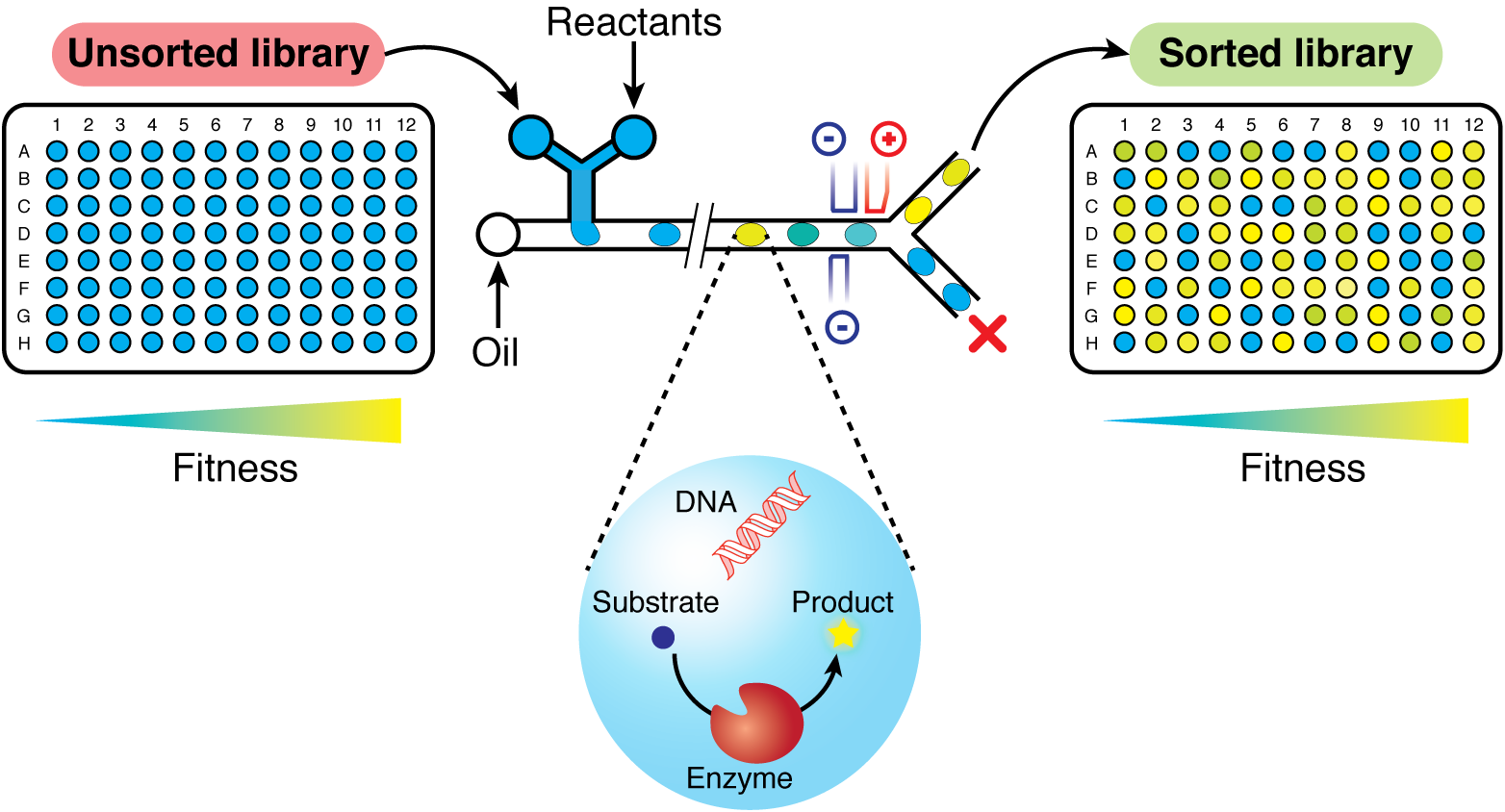 eth zurich microfluidics